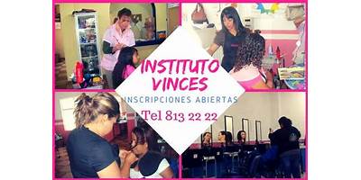 INSTITUTO VINCES
