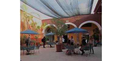 OLE CENTRO CULTURAL