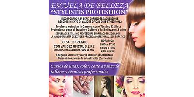 STYLISTES PROFESHION