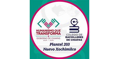 203 NUEVO XOCHIMILCO
