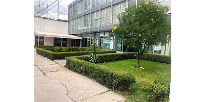 BACHILLERATO DE LA UNIVERSIDAD DE LEÓN PLANTEL HILARIO MEDINA