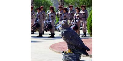 BACHILLERATO GENERAL MILITARIZADO "TTE. ALBERTO BONILLA COLMENERO"