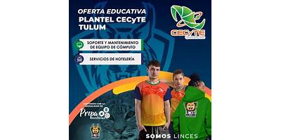 BACHILLERATO MODULAR CECYTE TULUM