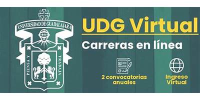 BACHILLERATO VIRTUAL DEL SISTEMA DE UNIVERSIDAD VIRTUAL