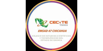 CECYTE EMSAD NUM. 47 "SAN MIGUEL CHICAHUA"