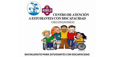 CENTRO DE ATENCION PARA ESTUDIANTES CON DISCAPACIDAD CETIS NUM 135