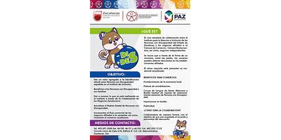 Imagen de la galería