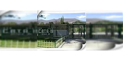 CENTRO DE BACHILLERATO TECNOLOGICO AGROPECUARIO 19