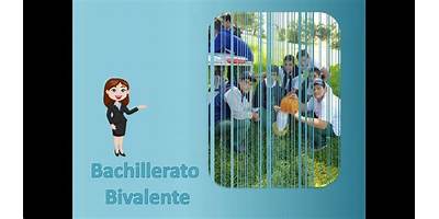 CENTRO DE BACHILLERATO TECNOLOGICO AGROPECUARIO 230