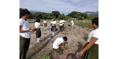 CENTRO DE BACHILLERATO TECNOLOGICO AGROPECUARIO NU