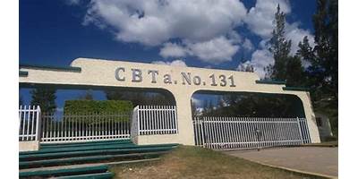 CENTRO DE BACHILLERATO TECNOLOGICO AGROPECUARIO NUM. 131