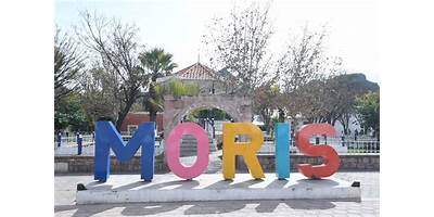 CENTRO DE EDUCACIÓN MEDIA SUPERIOR A DISTANCIA NO. 19, MORIS
