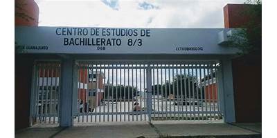 CENTRO DE ESTUDIOS DE BACHILLERATO 8/3