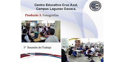Imagen de la galería