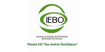 CENTRO NUM. 141 SAN ANDRES TEOTILALPAN