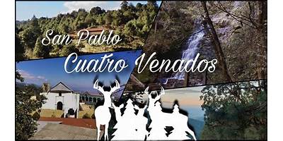 CENTRO NUM. 184 SAN PABLO CUATRO VENADOS