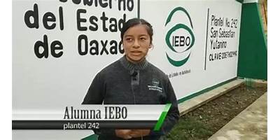 CENTRO NUM. 242 SAN SEBASTIAN YUTANINO