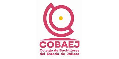 COBAEJ SALITRE EMSAD 22