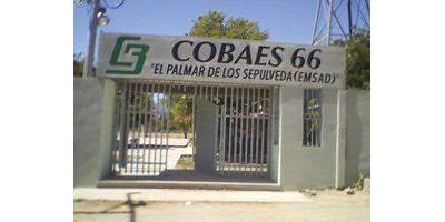 COBAES 66 EL PALMAR DE LOS SEPULVEDA CENTRO DE BACHILLERATO A DISTANCIA