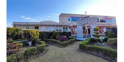 COLEGIO ALZATE