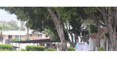 COLEGIO DE BACHILLERES DE BAJA CALIFORNIA PLANTEL ENSENADA