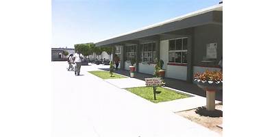 COLEGIO DE BACHILLERES DE PUEBLO YAQUI