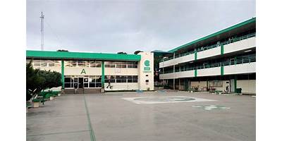 COLEGIO DE BACHILLERES DEL ESTADO DE CHIHUAHUA PLANTEL 17