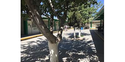 COLEGIO DE BACHILLERES DEL ESTADO DE CHIHUAHUA PLANTEL 7
