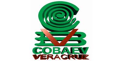 COLEGIO DE BACHILLERES DEL ESTADO DE VERACRUZ PLANTEL 09 TAMIAHUA "LEONCIO RAMOS CAREAGA"