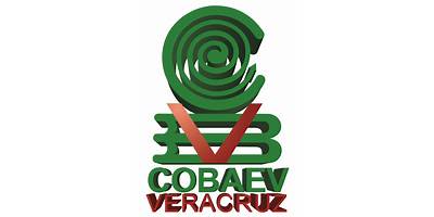 COLEGIO DE BACHILLERES DEL ESTADO DE VERACRUZ PLANTEL 10 IXHUATLAN "HEBERTO CASTILLO MARTINEZ"
