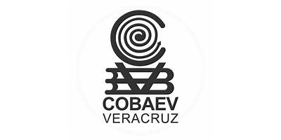 COLEGIO DE BACHILLERES DEL ESTADO DE VERACRUZ PLANTEL 71 COSAMALOAPAN "JESÚS REYES HEROLES"
