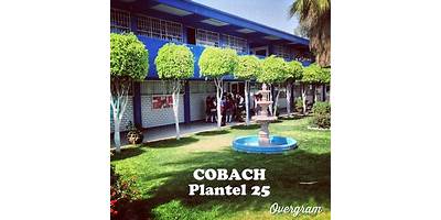 COLEGIO DE BACHILLERES NUM. 25