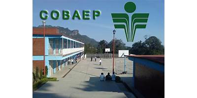 COLEGIO DE BACHILLERES PLANTEL 20