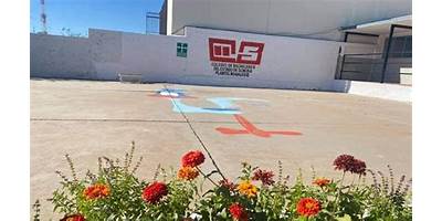 COLEGIO DE BACHILLERES PLANTEL NOGALES II