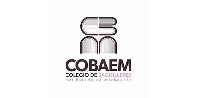 COLEGIO DE BACHILLERES PLANTEL PARACUARO