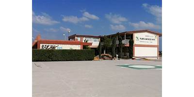 COLEGIO DE ESTUDIOS CIENTIFICOS Y TECNOLOGICOS DEL ESTADO DE HIDALGO PLANTEL MINERAL DEL CHICO