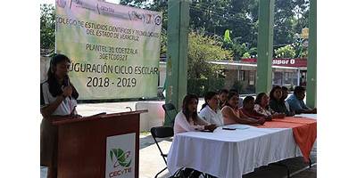 COLEGIO DE ESTUDIOS CIENTIFICOS Y TECNOLOGICOS DEL ESTADO DE VERACRUZ PLANTEL COETZALA