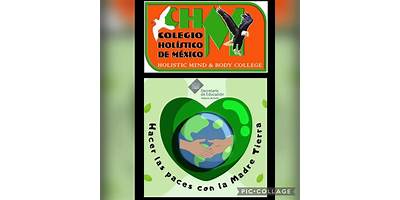 COLEGIO HOLISTICO DE MEXICO