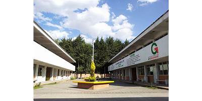 Imagen de la galería