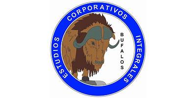 ESTUDIOS CORPORATIVOS INTEGRALES S.C. UACJ