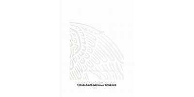 INSTITUTO TECNICO Y COMERCIAL DEL SURESTE