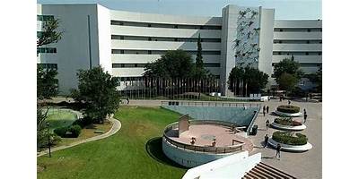 INSTITUTO TECNOLOGICO DE ESTUDIOS SUPERIORES DE MONTERREY CAMPUS SAN LUIS POTOSI