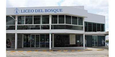 LICEO DEL BOSQUE