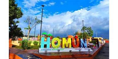 PLANTEL HOMUN