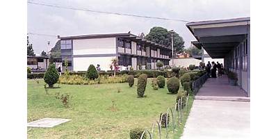 Imagen de la galería