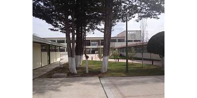 Imagen de la galería