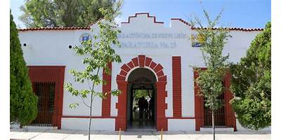 Imagen de la galería