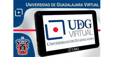 SISTEMA DE UNIVERSIDAD VIRTUAL