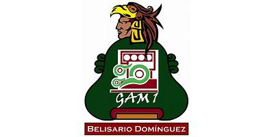 TELEBACHILLERATO BELISARIO DOMINGUEZ