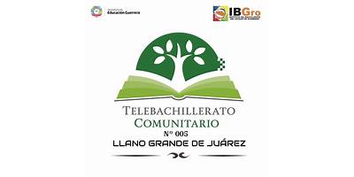 TELEBACHILLERATO COMUNITARIO 80155